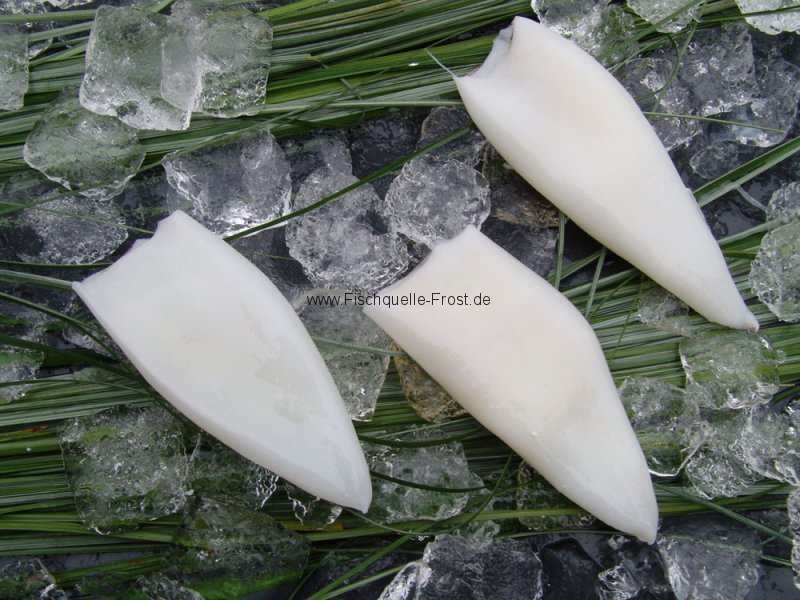 Tintenfischtuben Grosshandel Tintenfischtuben Fischhandel Tintenfischtuben Grosshandel Tintenfischtuben Fischhandel